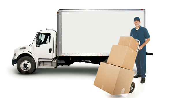Removals Service