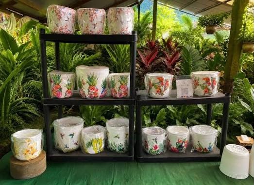 Pot And Planter Store
